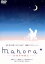 【中古】 mahora☆　－まほらのほしー／加藤ローサ,劇団ひとり,長谷部優