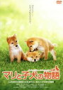 【中古】 マリと子犬の物語　スタンダード・エディション／船越英一郎,松本明子,猪股隆一（監督）,桑原眞二（原作）,大野一興（原作）,久石譲（音楽）