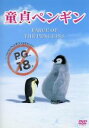 【中古】 童貞ペンギン/サミュエル・L.ジャクソン(語り),ボブ・サゲット(監督、脚本、製作、声優)
