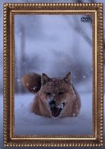 【中古】 レオナルド犬プリオ／電気グルーヴ