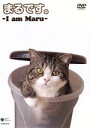 【中古】 まるです。−I am Maru−/(趣味/教養)