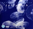 【中古】 ジェリーフィッシュ/ドキュメント・バラエティ