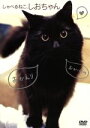 【中古】 しゃべるねこ、しおちゃん/ドキュメント・バラエティ,(趣味/教養)