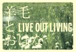 【中古】 LIVE　OUT　LIVING／羊毛とおはな