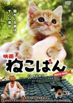 【中古】 映画　ねこばん／伊武雅刀,りりィ,永森裕二（原作、企画）,sanpachi（音楽）,有馬顕（監督、脚本、編集）