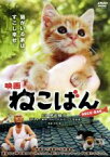 【中古】 映画　ねこばん／伊武雅刀,りりィ,永森裕二（原作、企画）,sanpachi（音楽）,有馬顕（監督、脚本、編集）