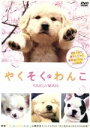 【中古】 やくそくわんこ/(趣味/教養)