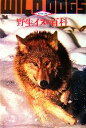 【中古】 野生イヌの百科 第2版 動物百科/今泉忠明【著】