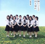 【中古】 願いごとの持ち腐れ（劇場盤）／AKB48