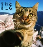 【中古】 写真集　とらねこ IWAGO’S　BOOK／岩合光昭