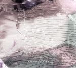 【中古】 echoes（DVD付）／bohemianvoodoo,bashiry（g）,木村衣生里（p key）,Nassy（b）,山本拓矢（ds）