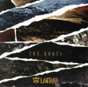 【中古】 THE　ROOTS／LANTANA