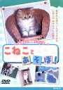 【中古】 こねことあそぼ！／（動物）