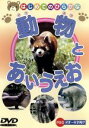 【中古】 動物とあいうえお／（キッズ）