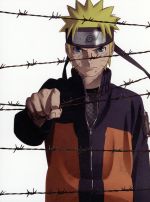 【中古】 劇場版NARUTO－ナルト－ブラッド・プリズン（完全生産限定版）／岸本斉史（原作）,竹内順子（うずまきナルト）,てらそままさき（無為）,西尾鉄也（キャラクターデザイン）,鈴木博文（キャラクターデザイン）,むらた雅彦（監督）,高梨康治（