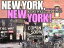 š NEWYORKNEWYORK ϲŴι˥塼衼 ϵ⤭BOOKSɡӥå