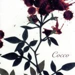 【中古】 サングローズ／Cocco