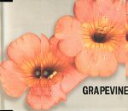 【中古】 会いにいく/GRAPEVINE