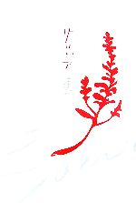 【中古】 サルビア／蓮【著】