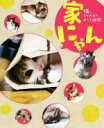 【中古】 家にゃん 猫とじゃれあうおうち時間/メディアソフト書籍部(編者)