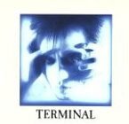 【中古】 TERMINAL／遠藤ミチロウ