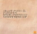 SILENT　POETS販売会社/発売会社：トイズファクトリー発売年月日：1997/11/01JAN：4988061882154『FIRM　ROOTS』の1年半後に発表されたシングル。リミックス7曲を収録。　（C）RS
