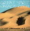 【中古】 GREAT SPIRIT/仲井戸麗市 【中古】afb 500円