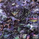 【中古】 ひまつぶし/山口冨士夫
