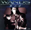 【中古】 時の扉／WANDS