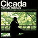 【中古】 Cicada（通常盤）／槇原敬之