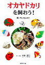【中古】 オカヤドカリを飼おう! 飼い方と楽しみ方/小林道信【文・写真】