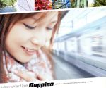 【中古】 in　the　name　of　love／Ruppina