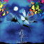 【中古】 月光花/Janne Da Arc 【中古】afb 110円