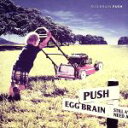 【中古】 PUSH／EGG　BRAIN