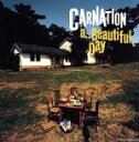 【中古】 a Beautiful Day/カーネーション