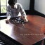 【中古】 As for You/榊原大 330円