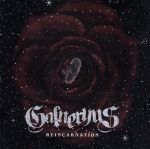 【中古】 REINCARNATION／Galneryus