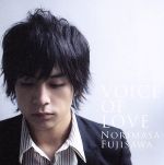 【中古】 VOICE　OF　LOVE～愛の力～／藤澤ノリマサ