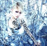 【中古】 MATERIAL　WORLD／Sowelu