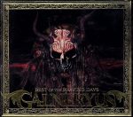 【中古】 BEST　OF　THE　BRAVING　DAYS（DVD付）／Galneryus