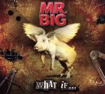 【中古】 ホワット・イフ・・・（期間限定スペシャル・プライス盤）／MR.BIG