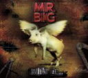 【中古】 ホワット・イフ・・・(初回限定盤)(DVD付)/MR.BIG
