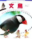 【中古】 文鳥 小動物ビギナーズガイド/伊藤美代子【著】,井川俊彦【写真】