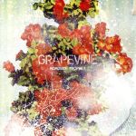 【中古】 ROADSIDE PROPHET（20th Anniversary Limited Edition）（初回限定盤）（DVD付）／GRAPEVINE