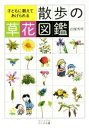 【中古】 散歩の草花図鑑 子どもに教えてあげられる ビジュアルだいわ文庫/岩槻秀明(著者)