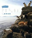 【中古】 岩合光昭の世界ネコ歩き 瀬戸内海(Blu−ray Disc)/岩合光昭(撮影)
