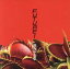 【中古】 Future!(初回限定盤B)(DVD付)/筋肉少女帯 3,509円