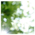 【中古】 Everything　is　good／高野寛