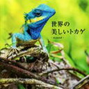 【中古】 世界の美しいトカゲ Lizard/パイインターナショナル
