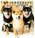 【中古】 柴犬3兄弟ひなあおそら わんダフルに生きる31の言葉/yumatsu(著者)(3)